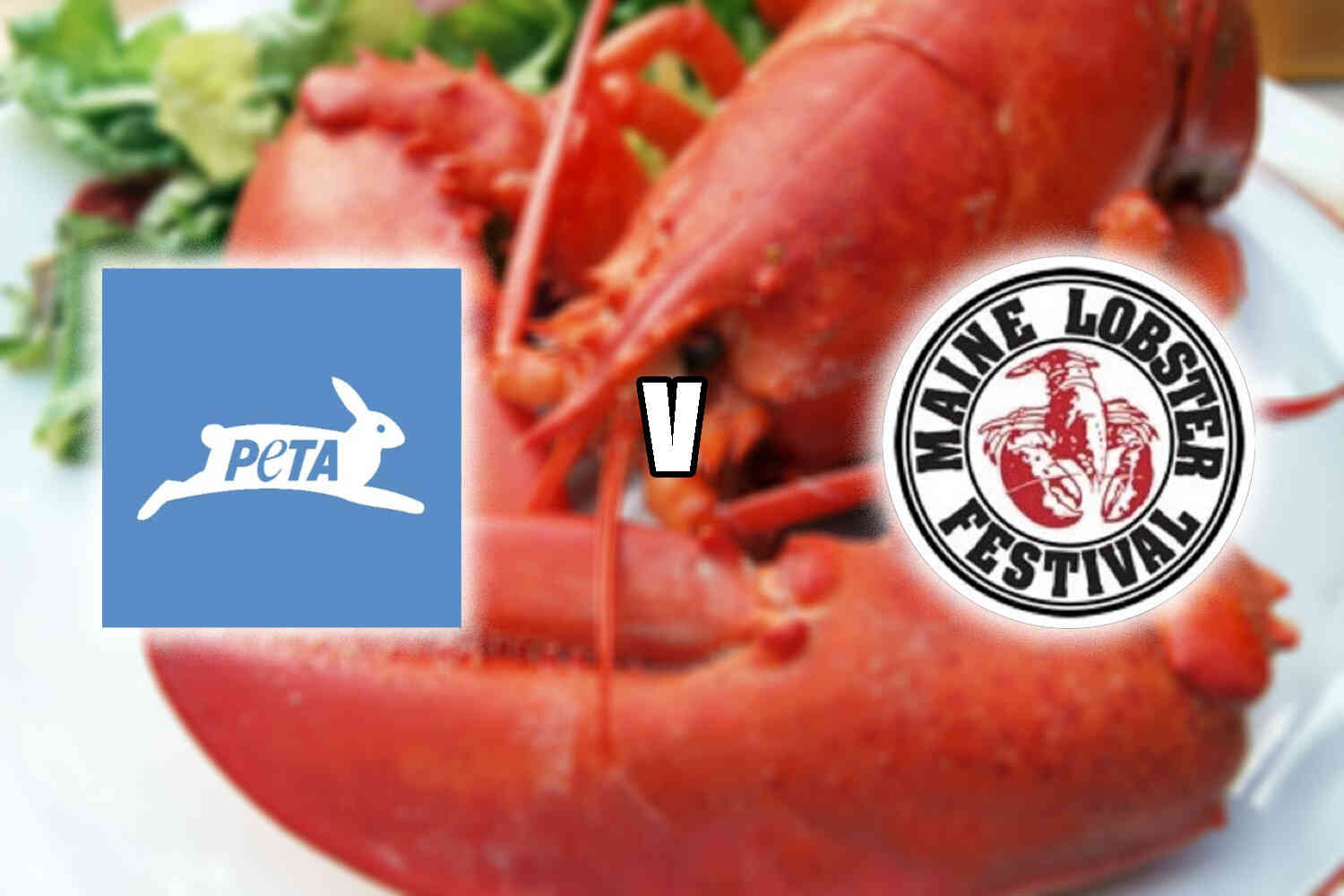 Thumbnail for PETA sues Maine Lobster Festival for steaming 16,000 lobsters