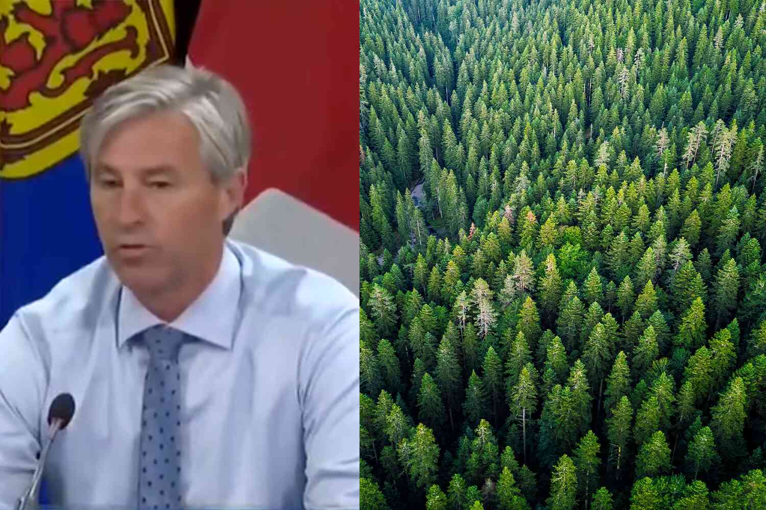 Thumbnail for Nova Scotia Bans People From Woods In Attempt To Stop Wildfires