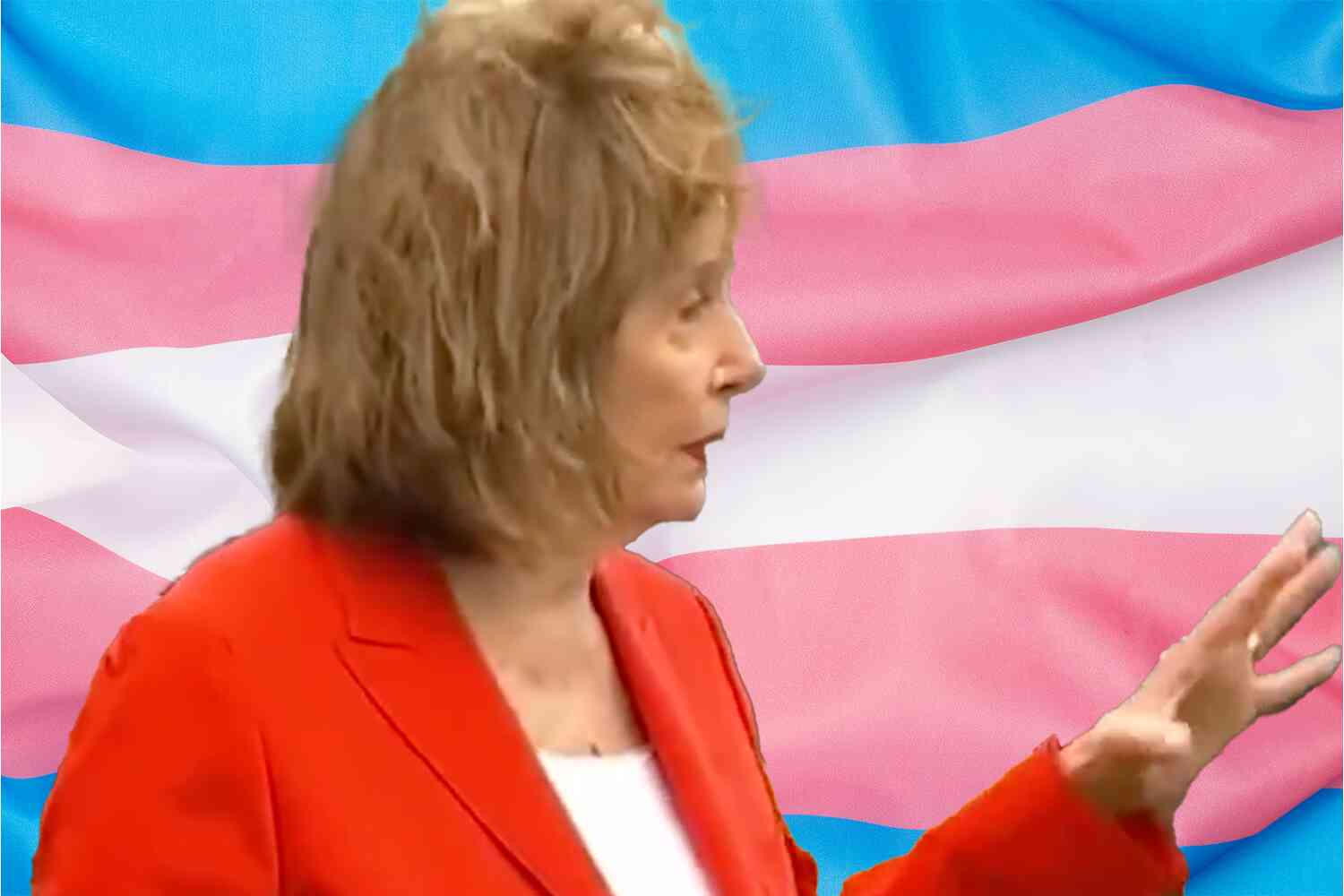 Thumbnail for Pelosi says that she is still working to push "gender-affirming care" at national level, just in case you thought the Democrats learned anything