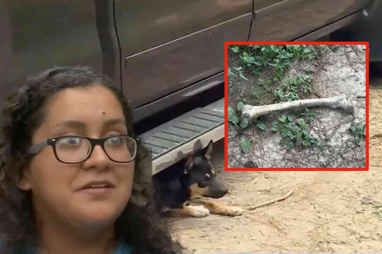 Thumbnail for Alabama dog buries human remains in front yard for 4th time in past year