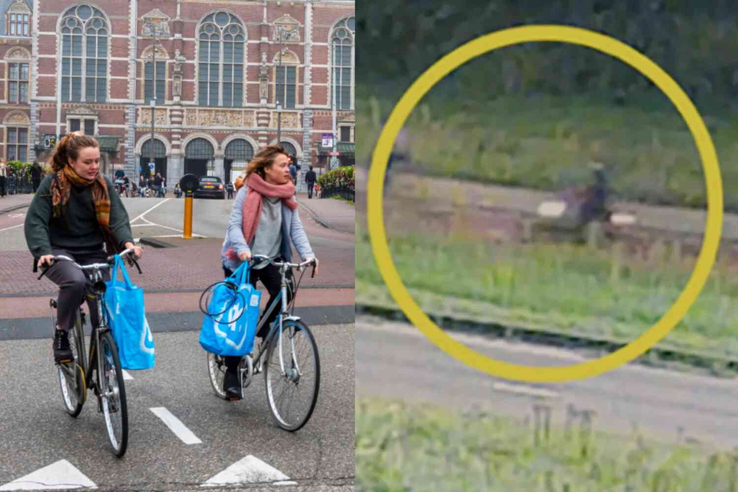 Thumbnail for Dutch girl murdered during bike ride home, cops arrest migrant “who raped woman days earlier” but was released from jail