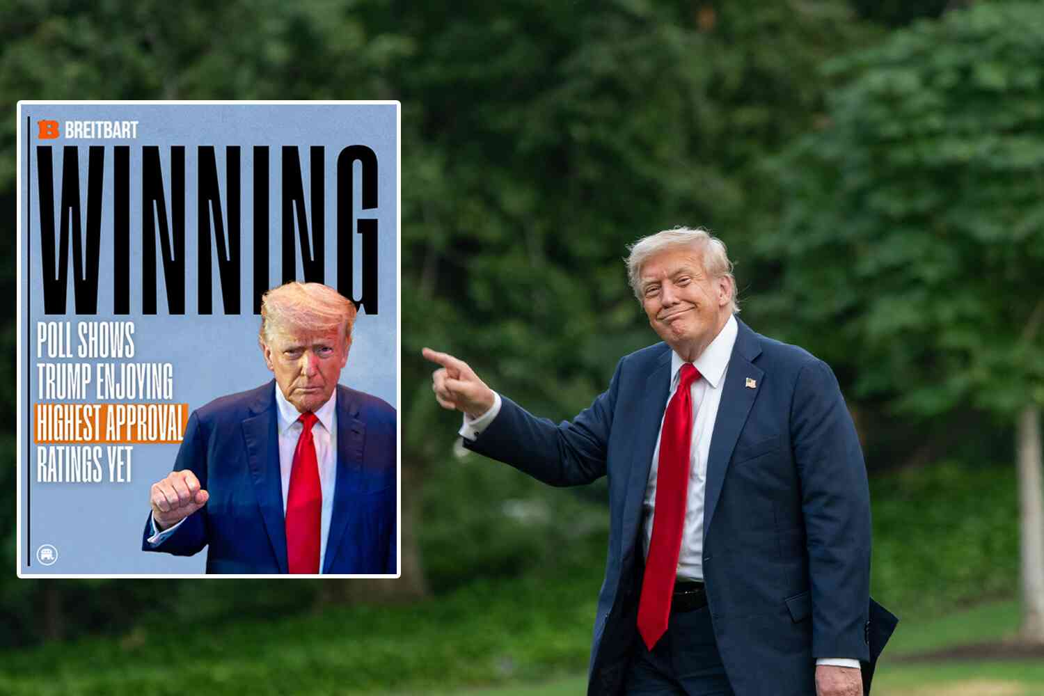 Thumbnail for Poll shows Trump has hit his highest approval rating yet 👀