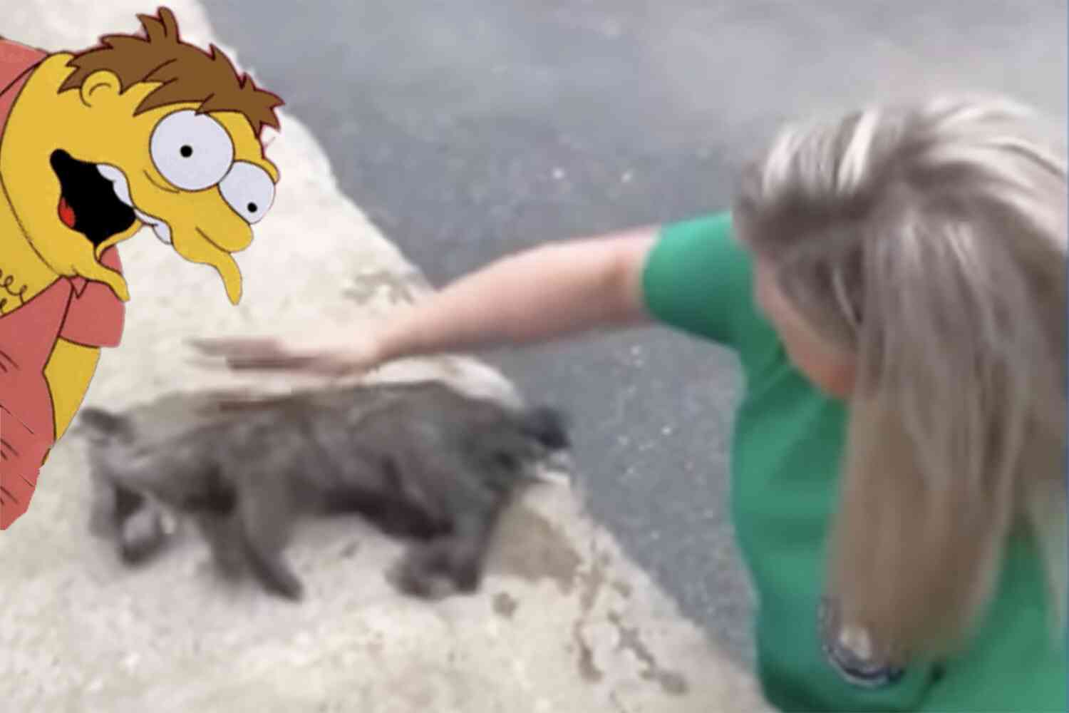 Thumbnail for Nurse Saves Drunk Baby Raccoon Who Passed Out In Dumpster
