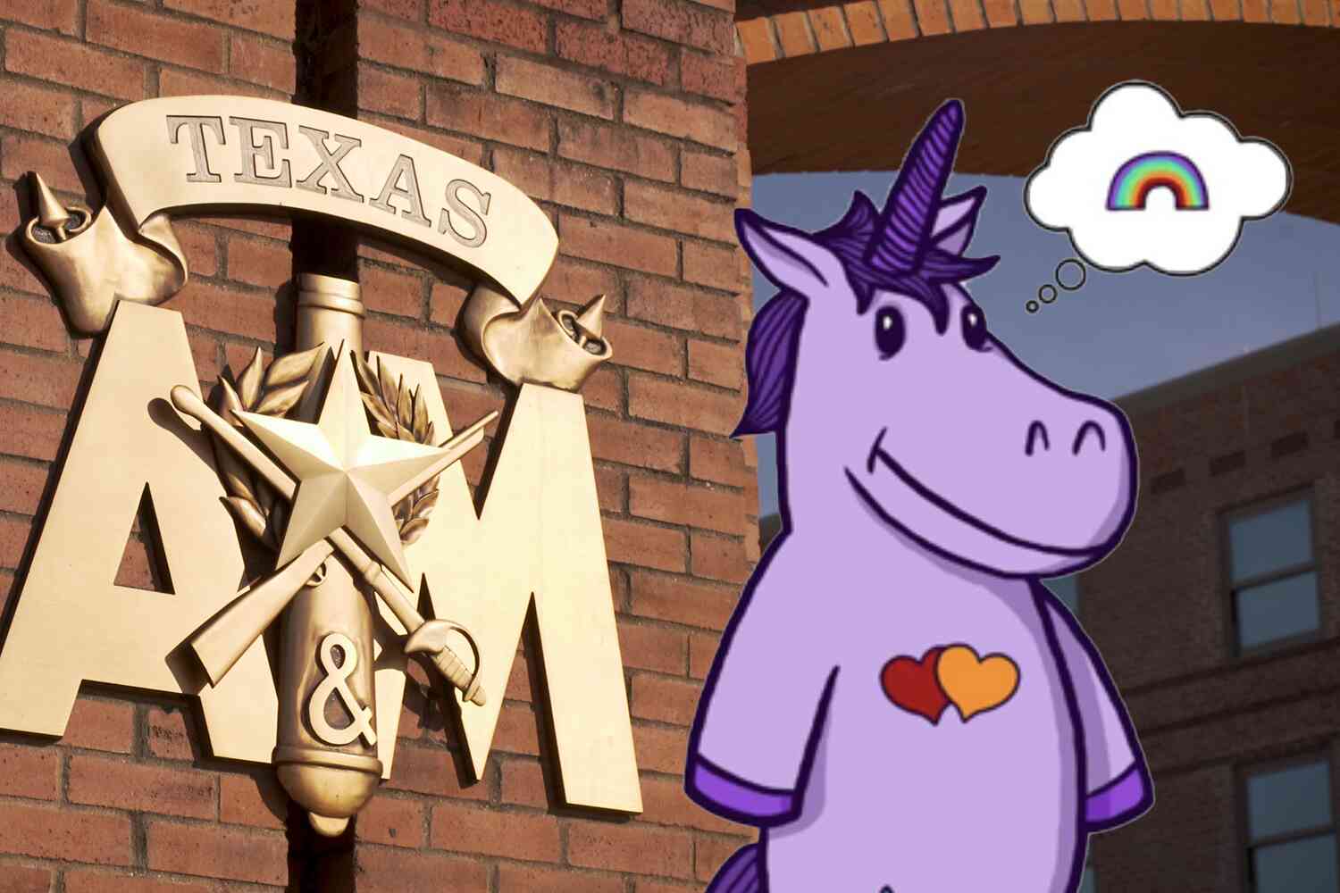 Thumbnail for Texas A&M is under fire for allowing professors to teach gender theory to students