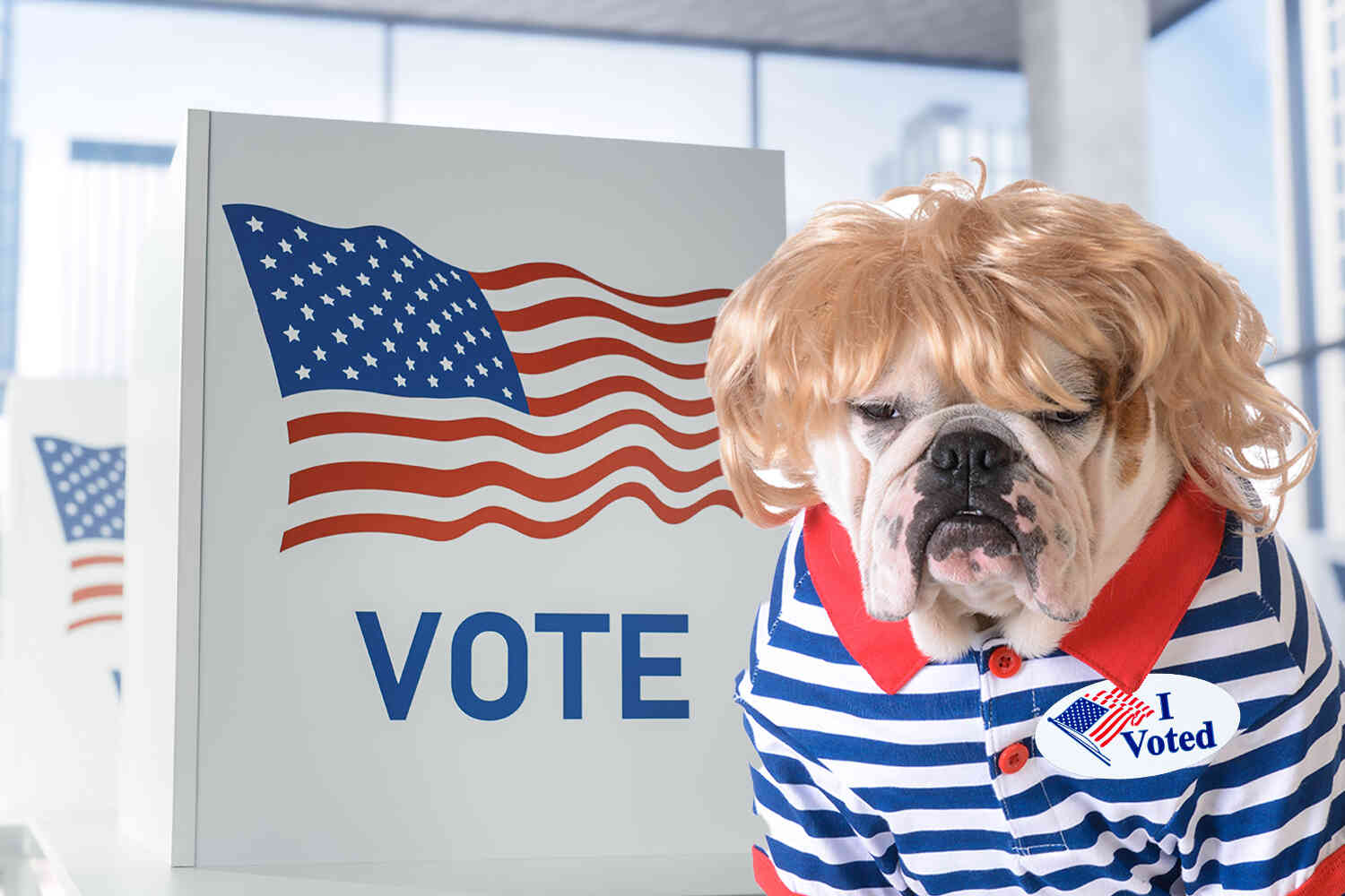 Thumbnail for California Woman Charged With Casting Ballot For Her Dog (Twice)