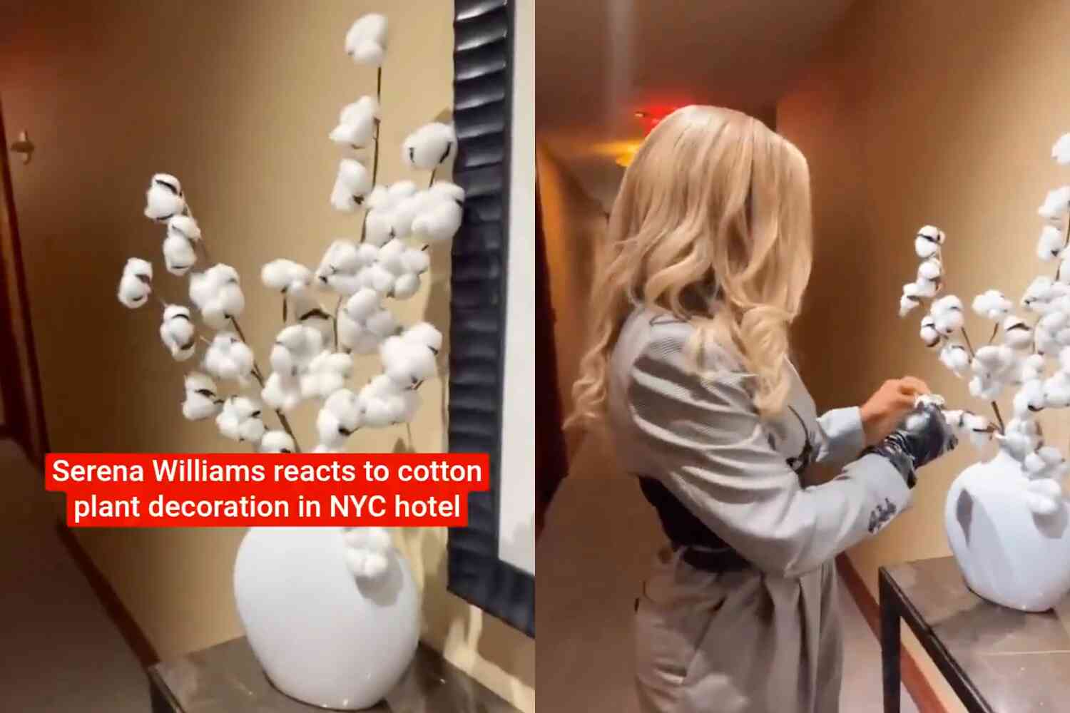 Thumbnail for Did Serena Williams seriously just imply that her hotel’s cotton plant decoration is racist?