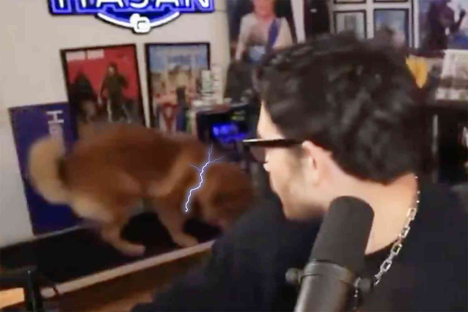 Thumbnail for Leftist influencer Hasan Piker accused of shocking dog after it stood up during livestream