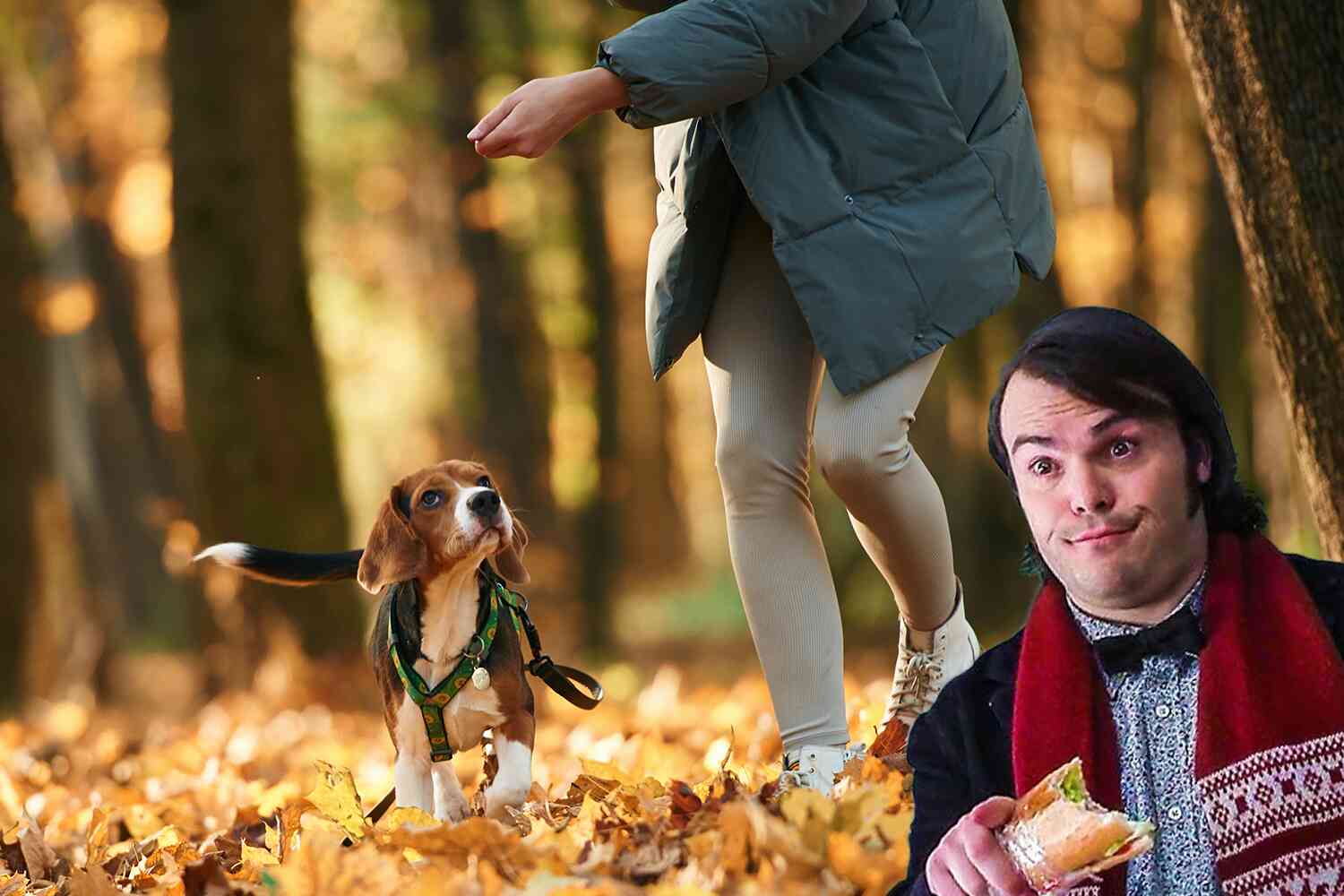Image for article: Substitute teacher allegedly so wasted she thought student was her dog