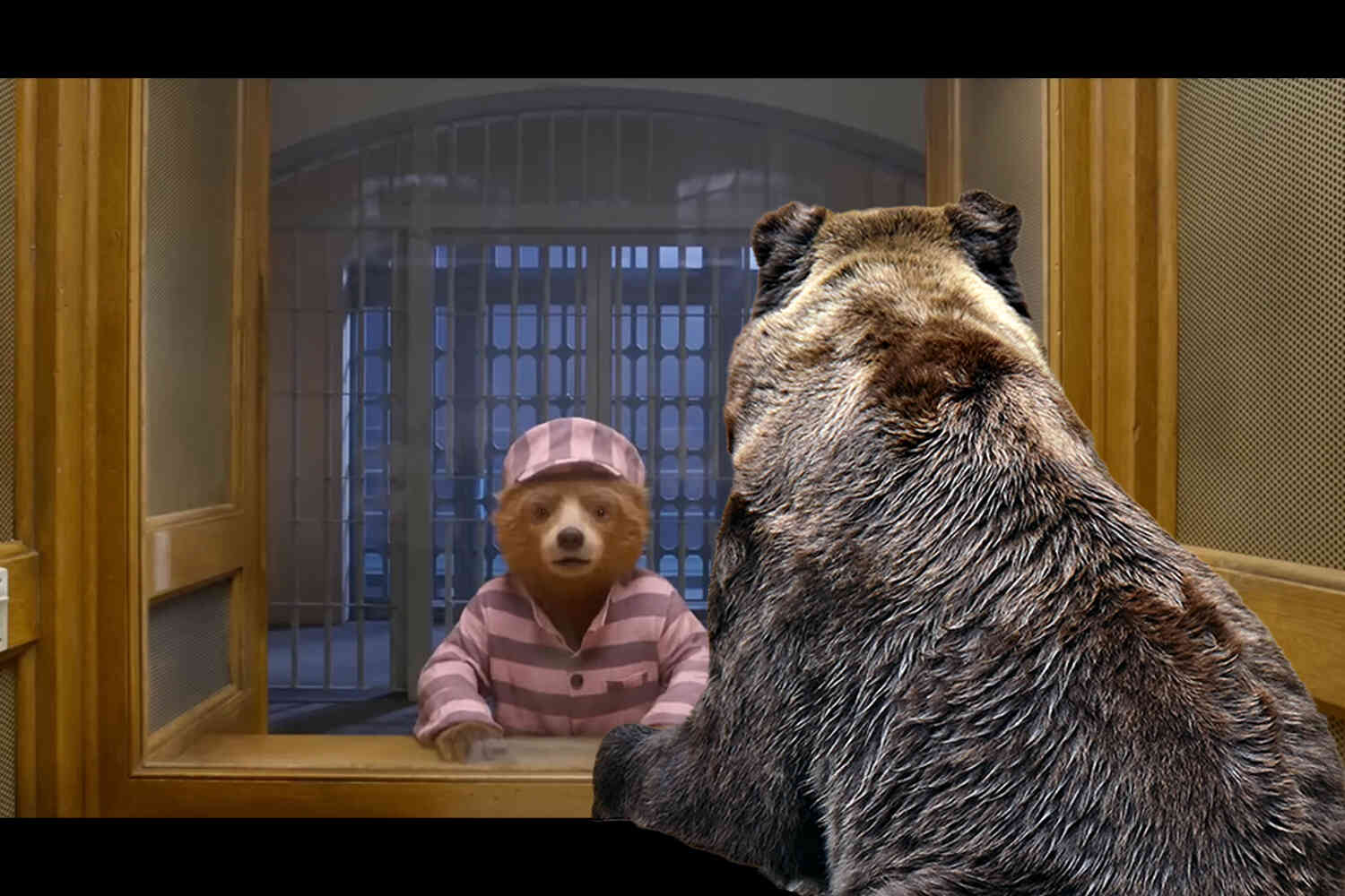 Thumbnail for Black bear breaks into California zoo, visits captive bears