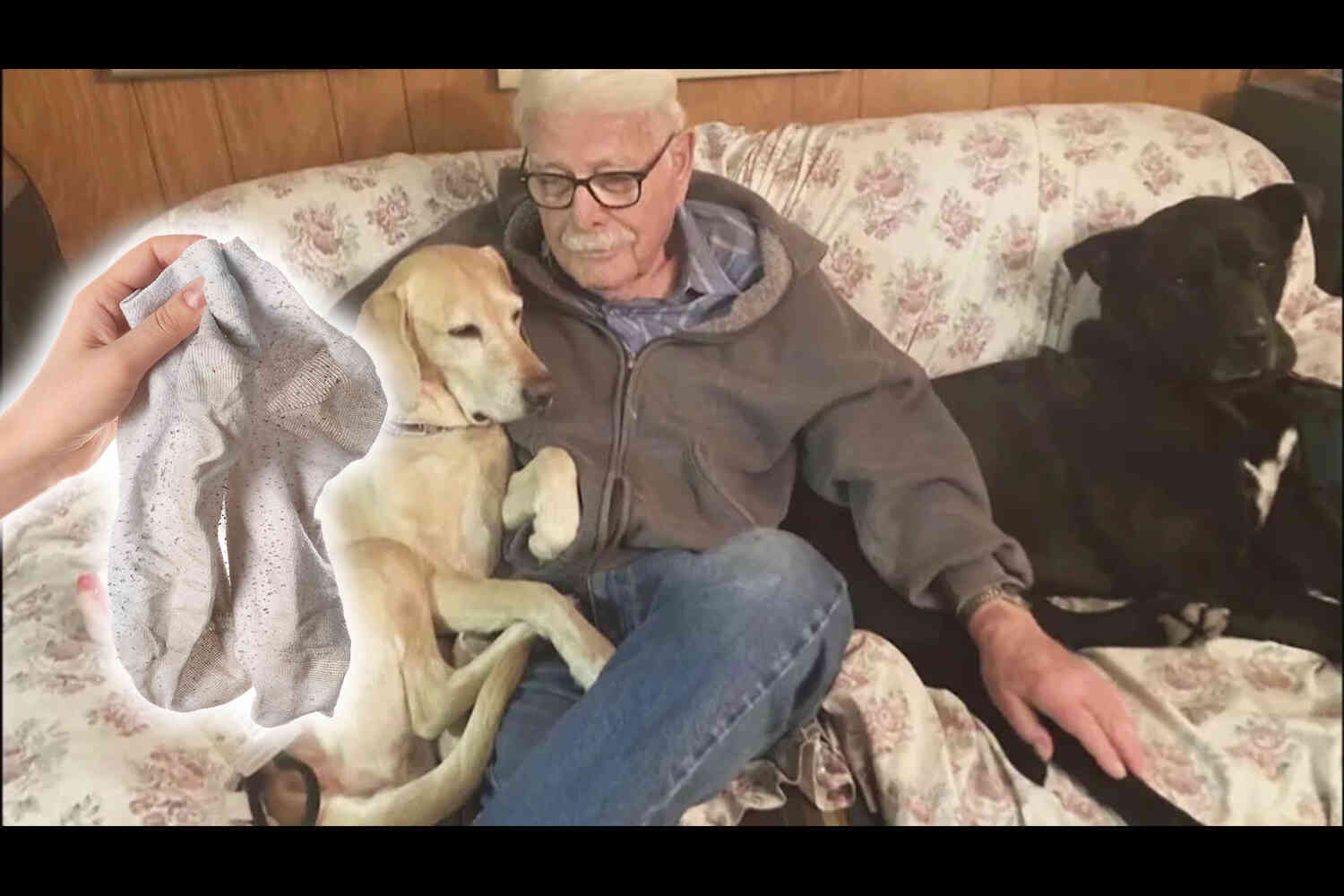 Thumbnail for Man uses his stinky socks to help lost dog find her way home