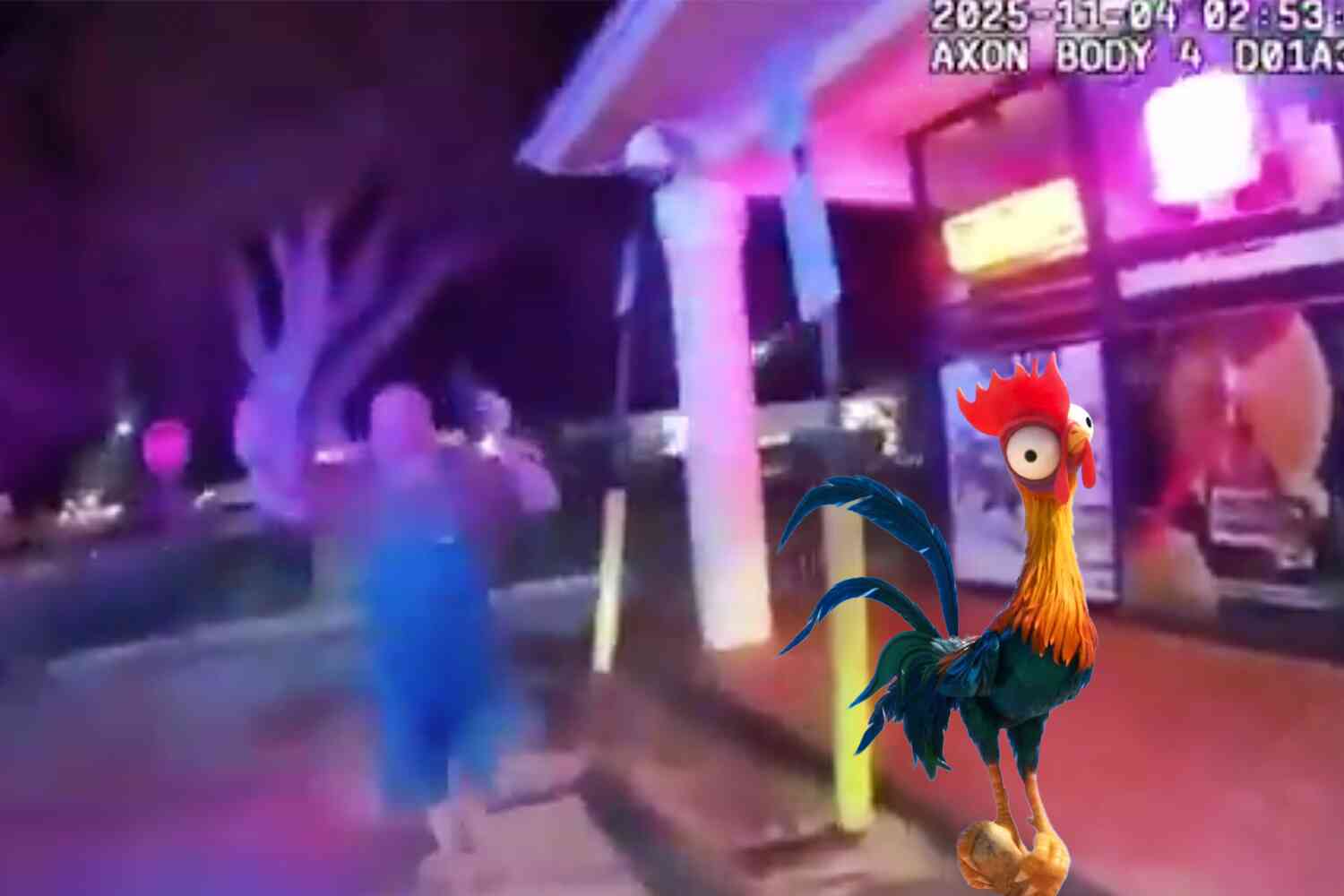 Thumbnail for Florida man arrested after police say he fired shots when he got into an argument about how many eggs a chicken could lay