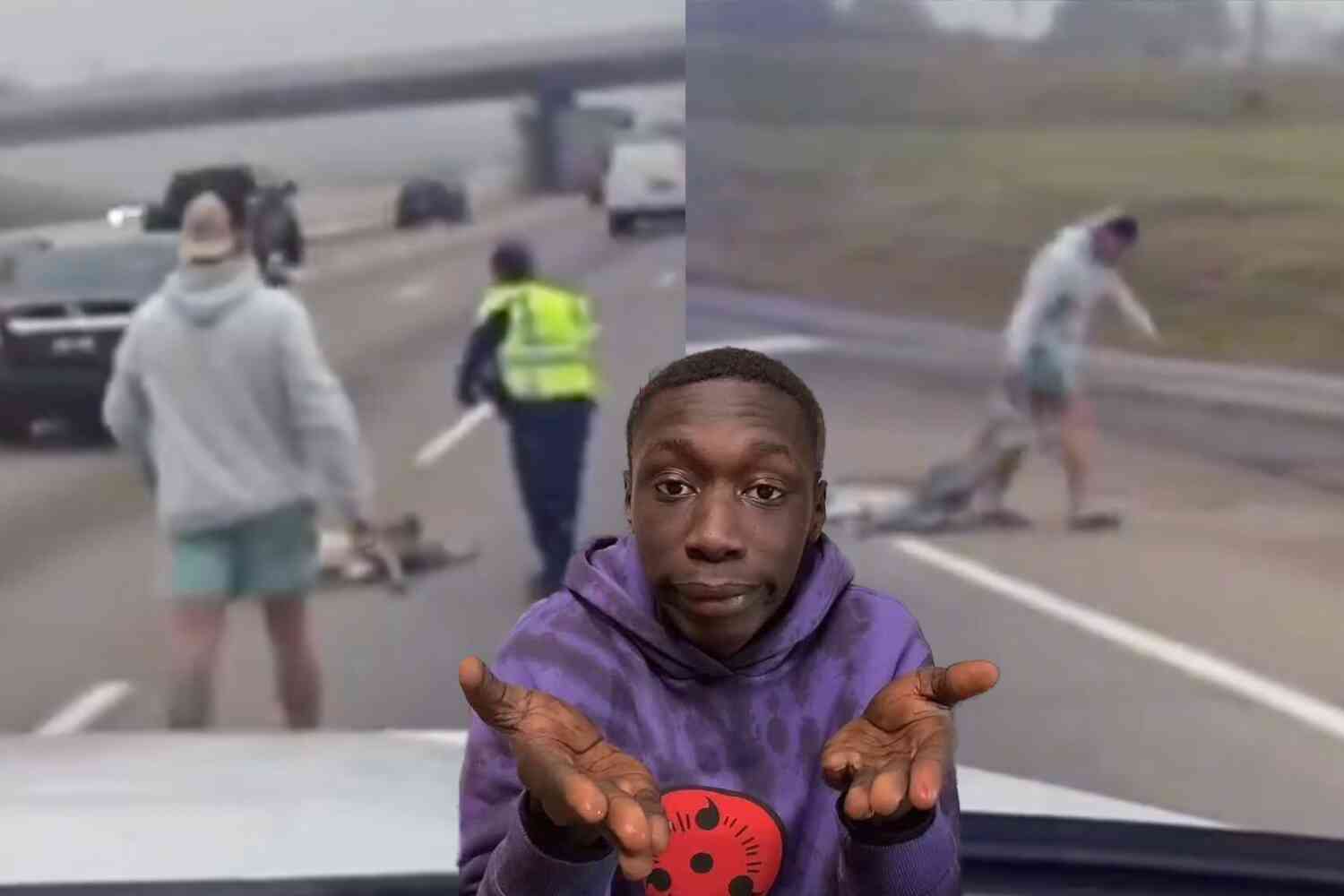 Thumbnail for This champ dragged a deer off the highway because the cops were just standing there staring at it