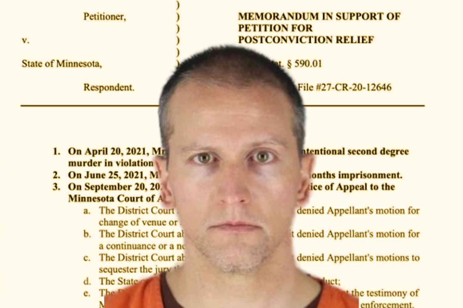 Thumbnail for Derek Chauvin's lawyer files new petition as 50 former and current officers affirm technique he used on George Floyd was standard protocol