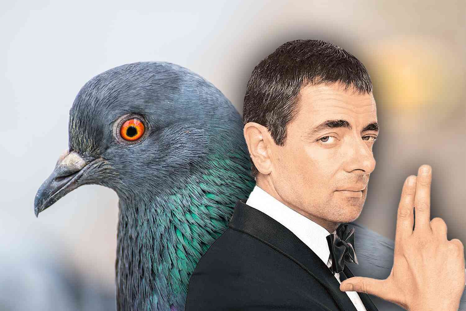 Thumbnail for Russian scientists successfully tested a fleet of remote-controlled cyborg spy pigeons