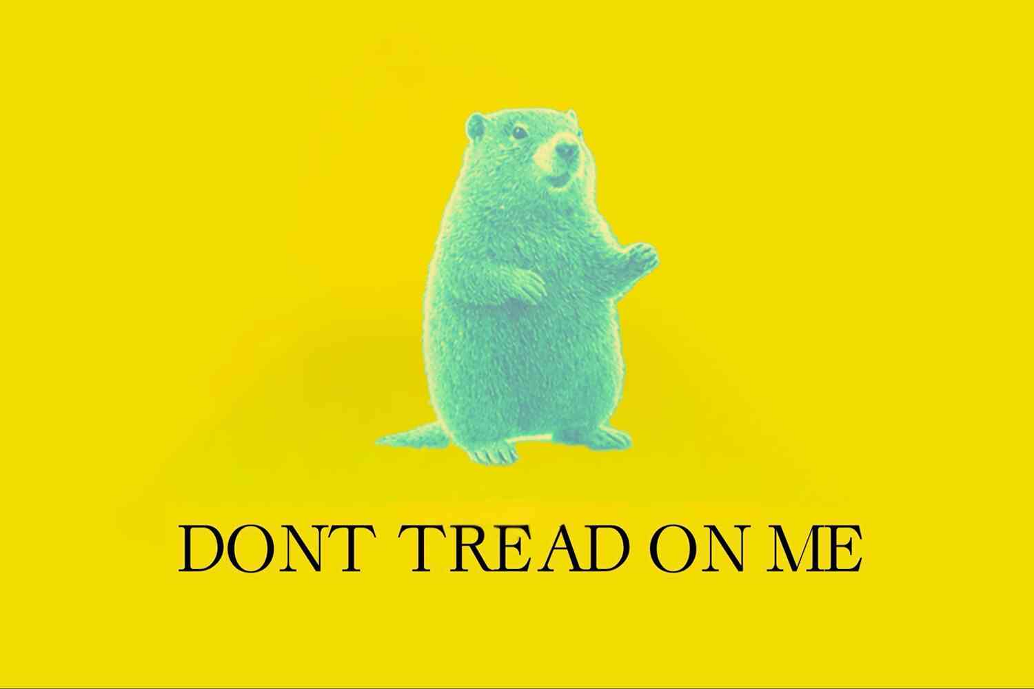 Image for article: It's almost Groundhog Day and PETA wants to replace Punxsutawney Phil with a giant hologram