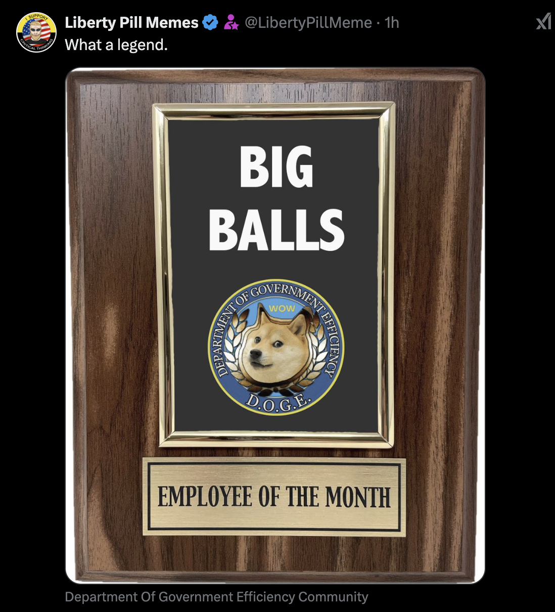 Elon is bringing back Doge member "big balls" > General Discussion